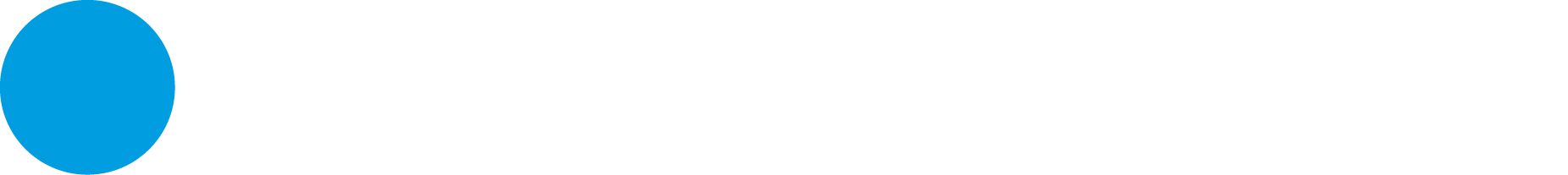 Blaupunkt Logo