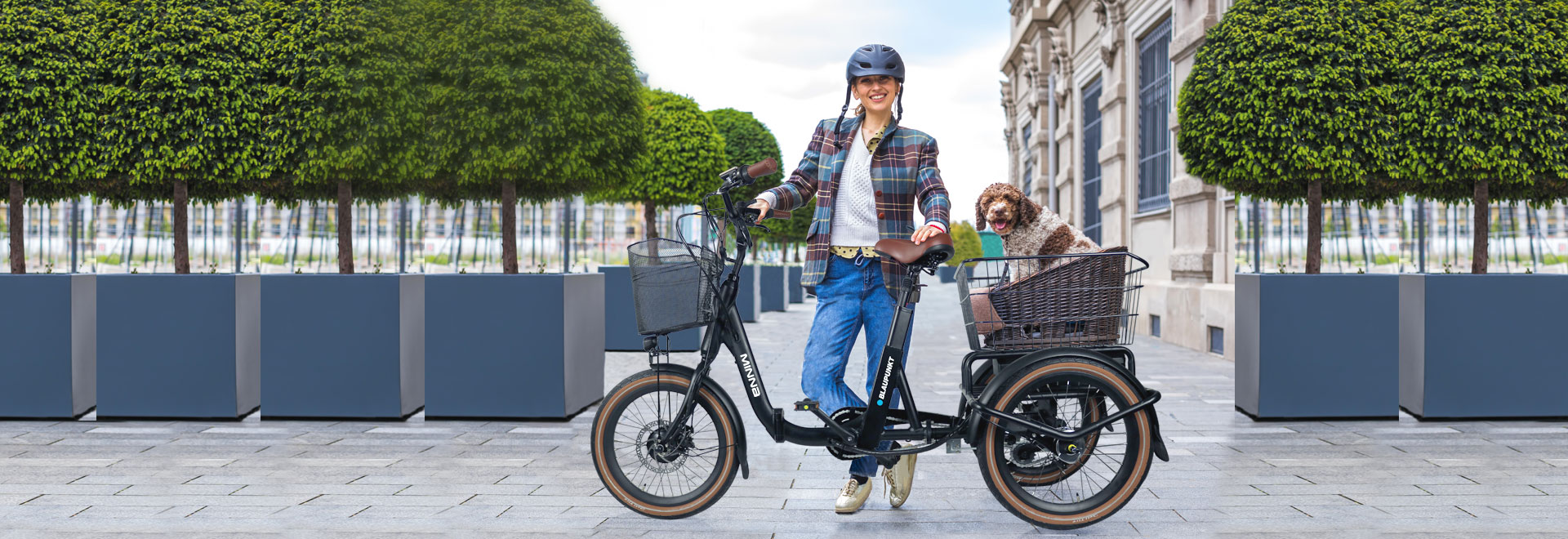 Blaupunkt Design-Falt-E-Bikes