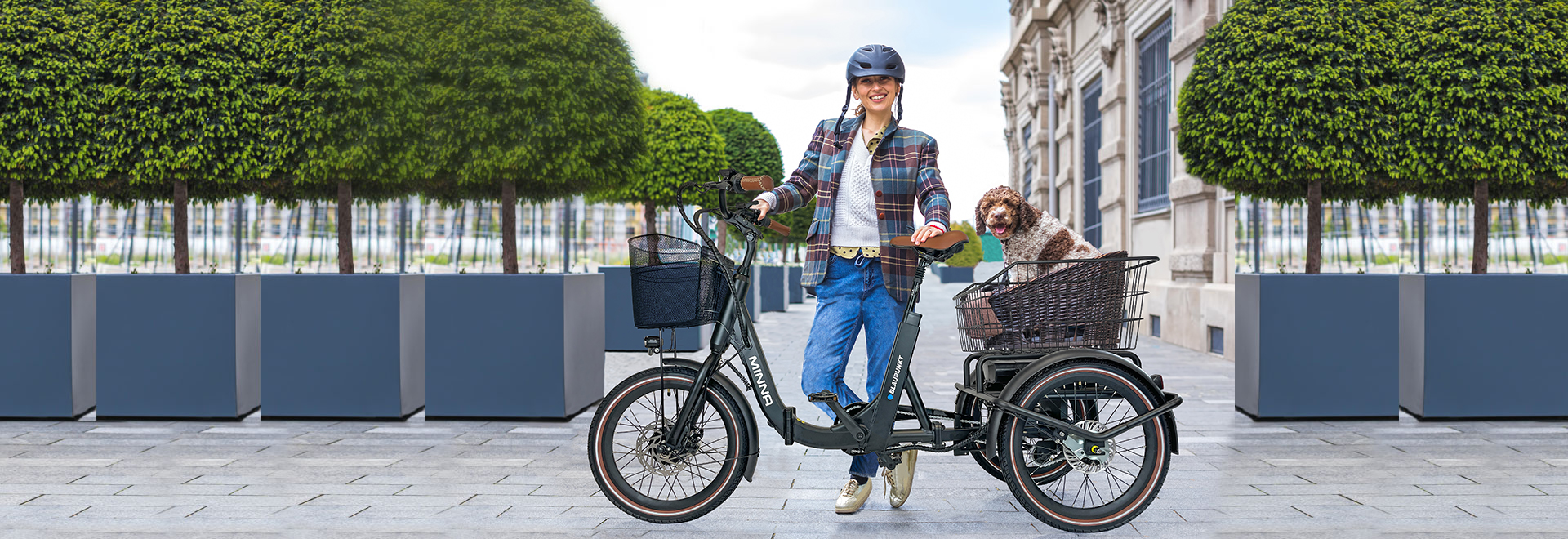 Blaupunkt Design-Falt-E-Bikes