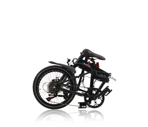 CARL_290_folded_kl