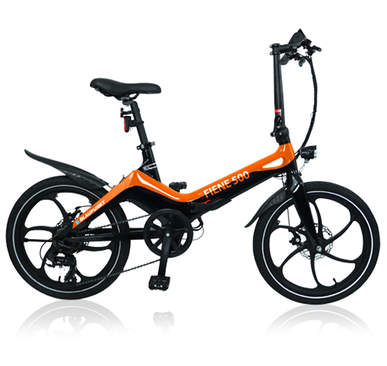 Fiene-500